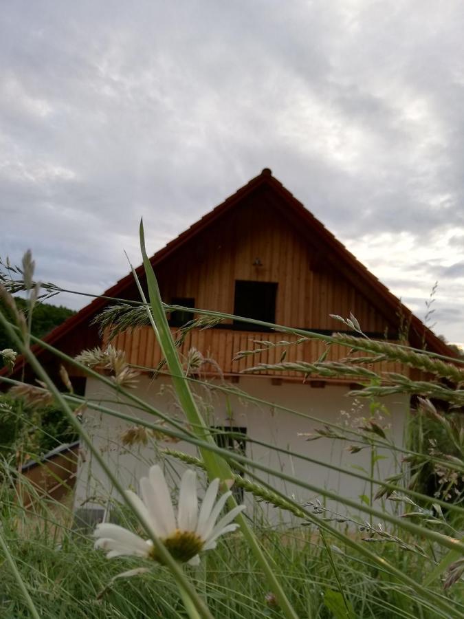 Bioferienhaus Muster - Dominkusch Possnitz Eksteriør bilde